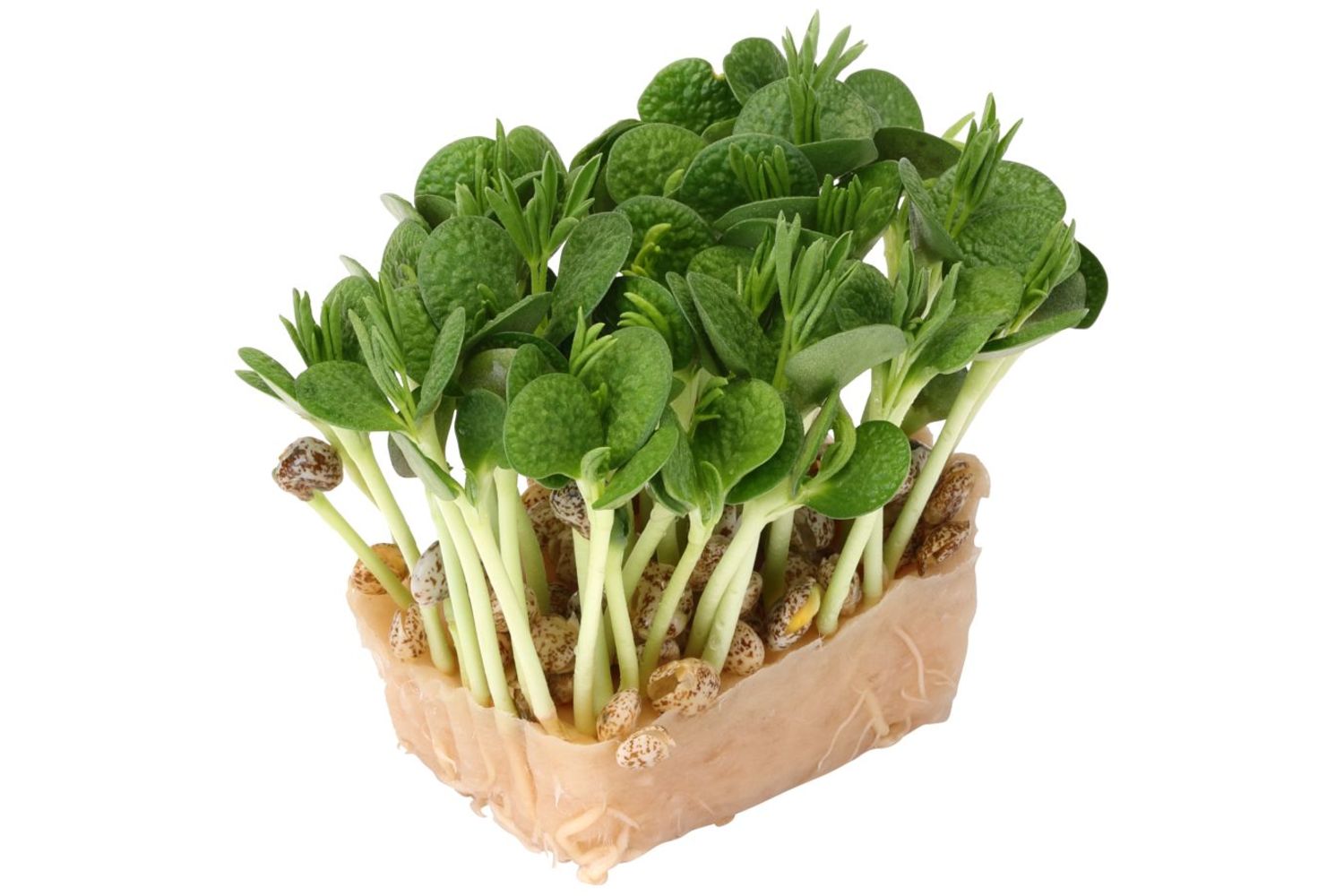 cress